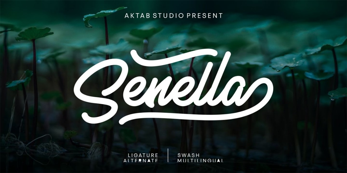 Senella Script