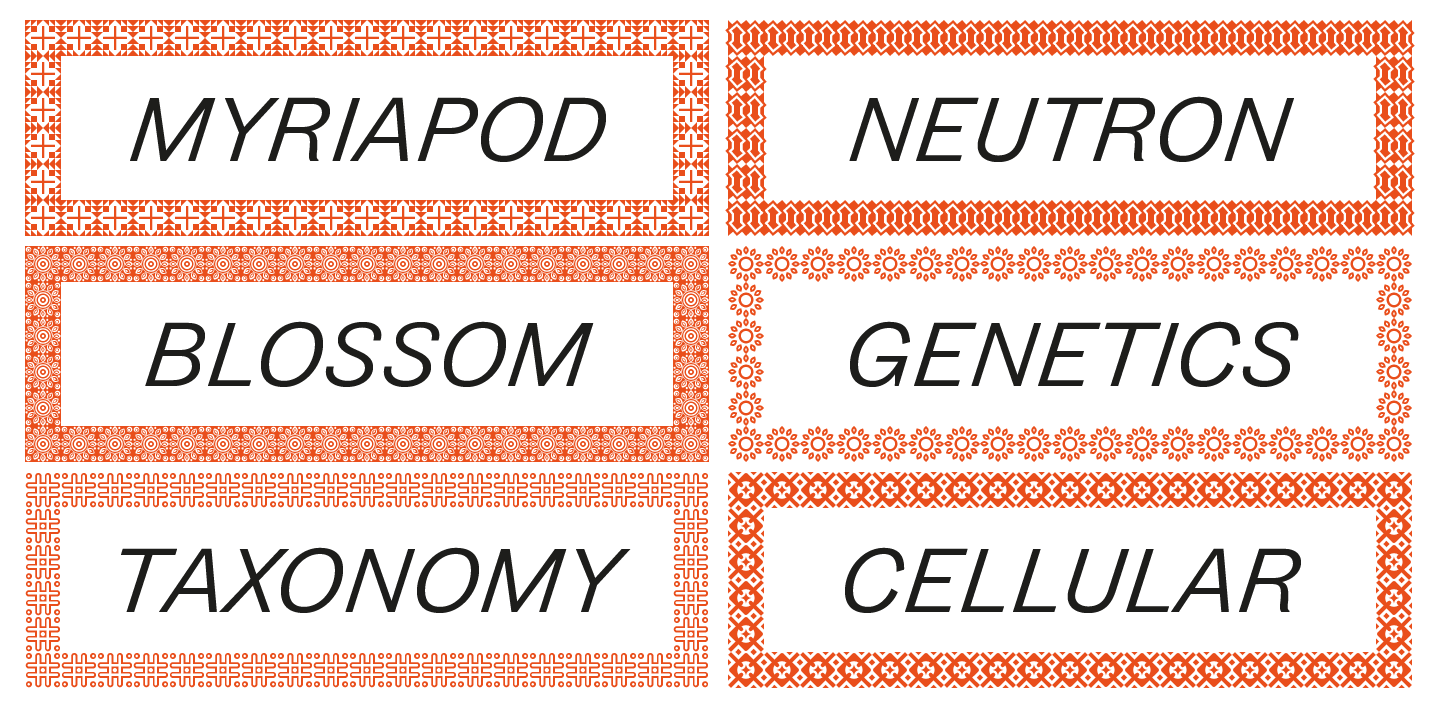 Zierde Grotesk