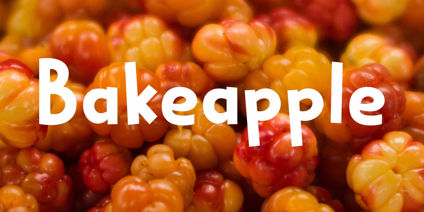 Bakeapple