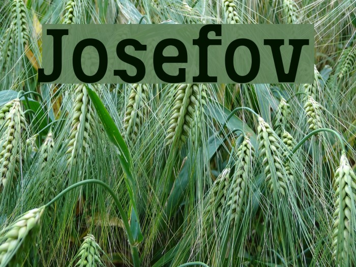 Josefov
