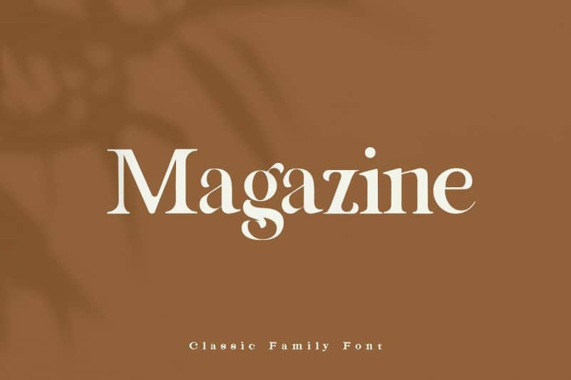 Magazine