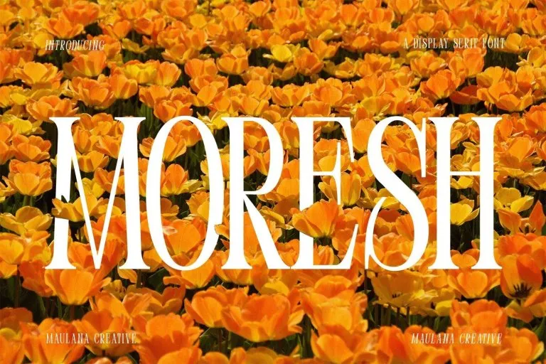 Moresh