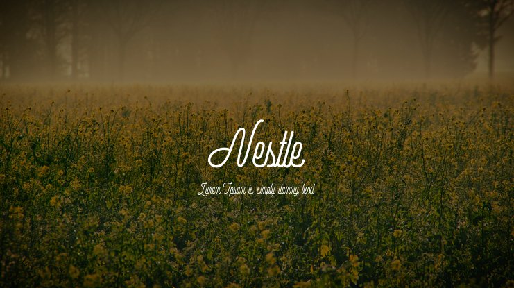 Nestle Script Office CYR