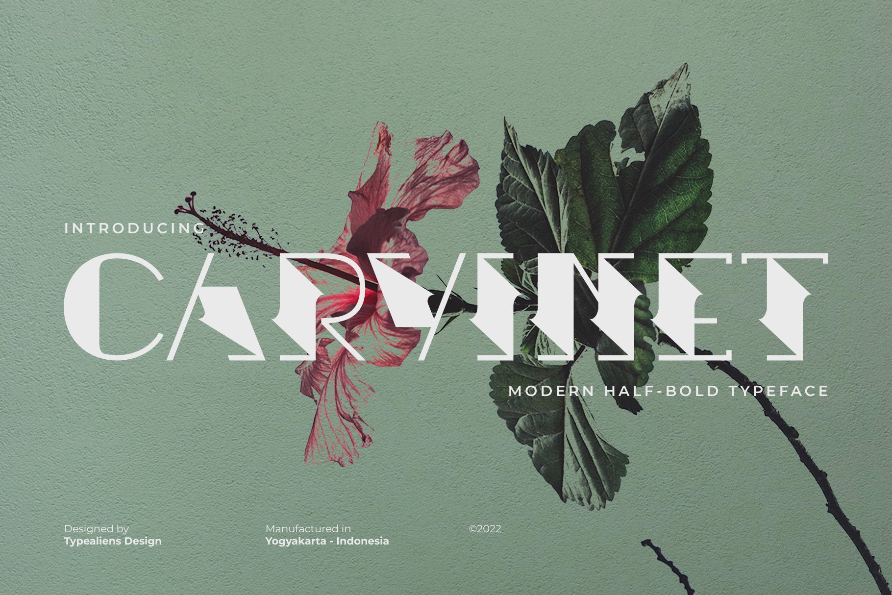 Carvinet