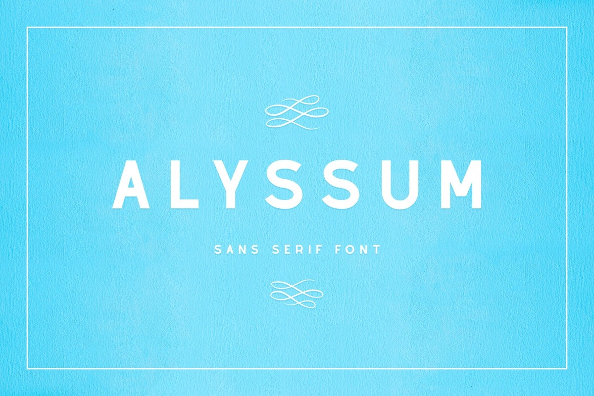 Alyssum