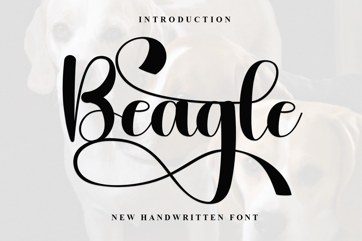 Beagle