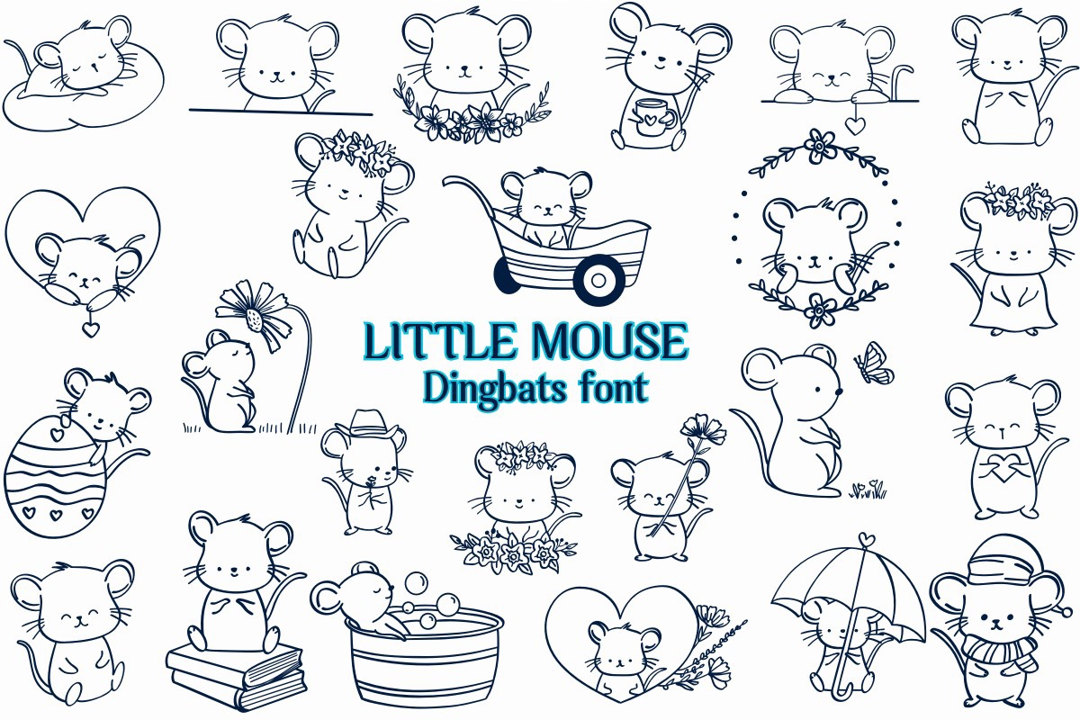 Little Mouse