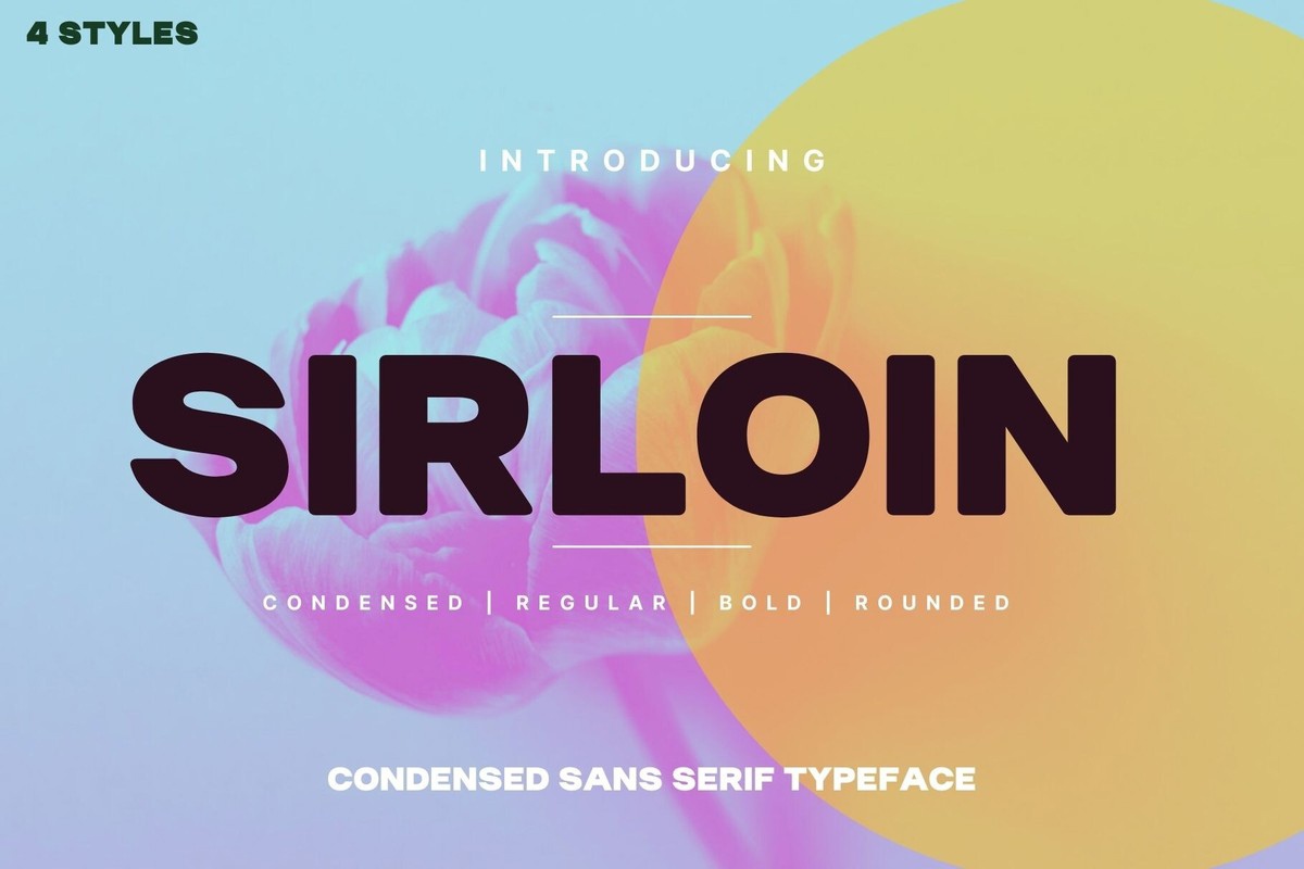 Sirloin