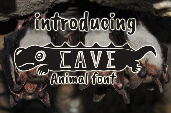 Cave